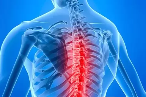 The disease of the thoracic spine
